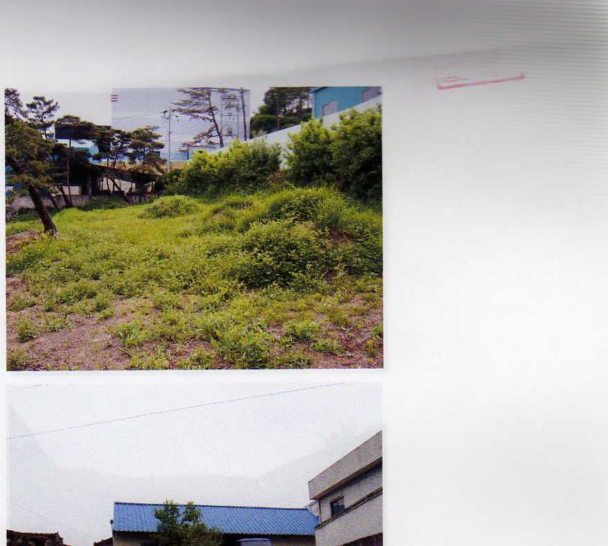 대구서부지원 2007타경8584-2 사진