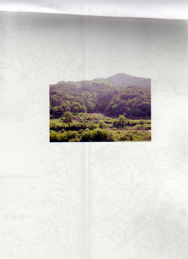 대구서부지원 2007타경8881-1 사진