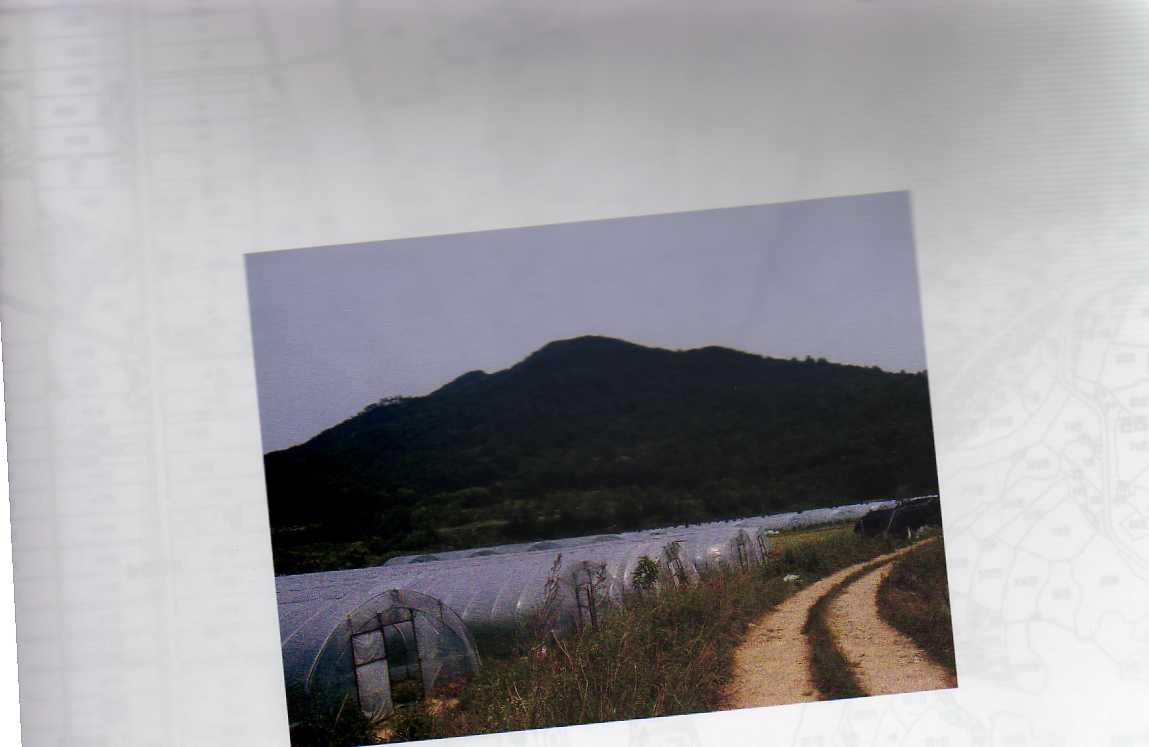 대구서부지원 2007타경10440-1 사진