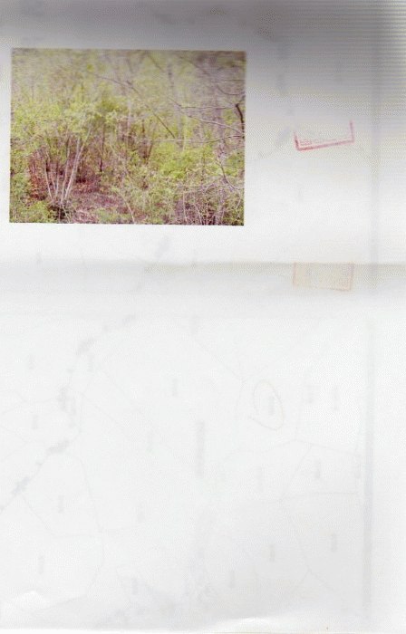대구서부지원 2008타경3869-1 사진