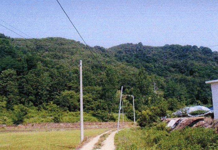 대구서부지원 2008타경6585-2 사진