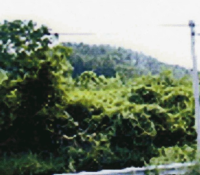 대구서부지원 2008타경7670-1 사진