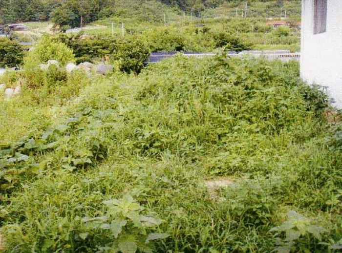 대구서부지원 2008타경7847-1 사진