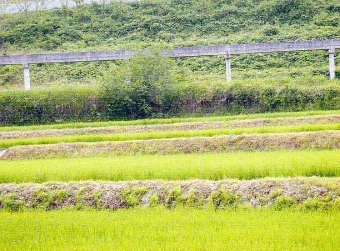 대구서부지원 2008타경8031-1 사진