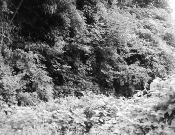 대구서부지원 2008타경8734-1 사진