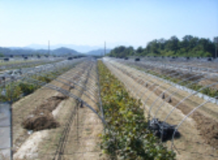 대구서부지원 2008타경12412-1 사진