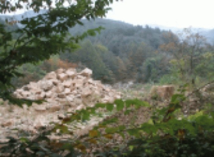 대구서부지원 2008타경12436-1 사진