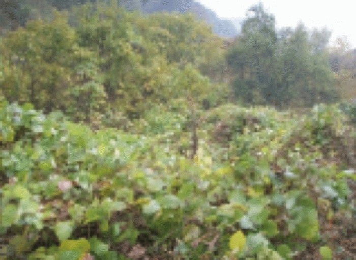 대구서부지원 2008타경13293-1 사진