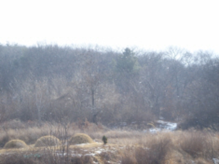 대구서부지원 2009타경2146-1 사진