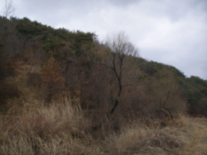 대구서부지원 2009타경2740-1 사진