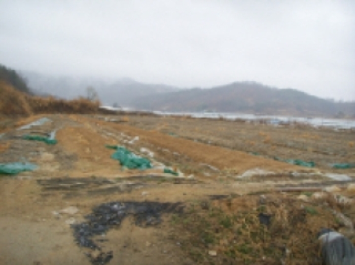 대구서부지원 2009타경3651-1 사진