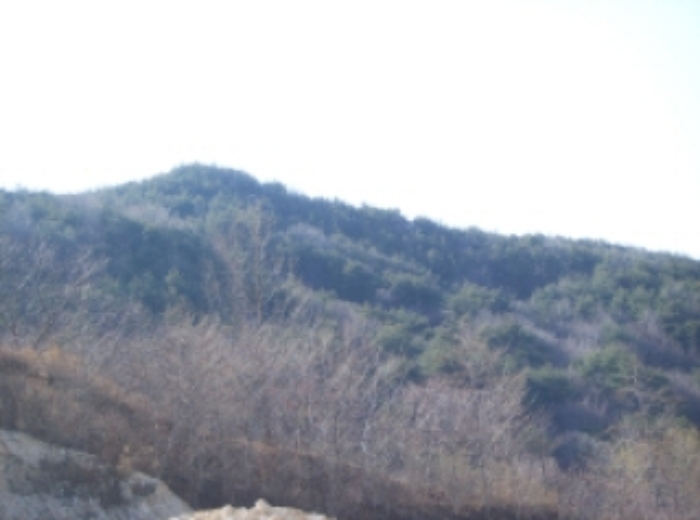 대구서부지원 2009타경4036-1 사진