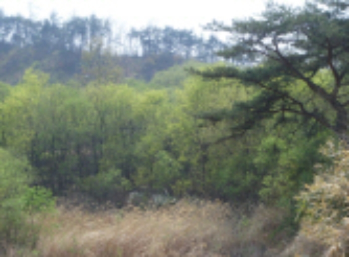대구서부지원 2009타경5565-1 사진