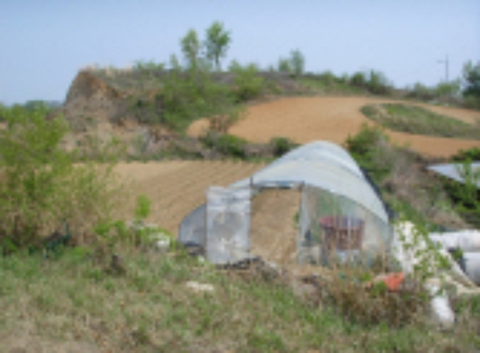 대구서부지원 2009타경6452-1 사진