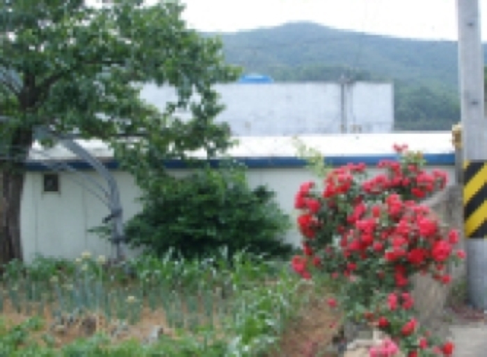 대구서부지원 2009타경8465-1 사진