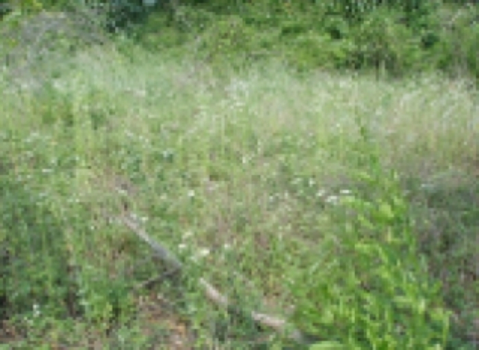 대구서부지원 2009타경9574-2 사진