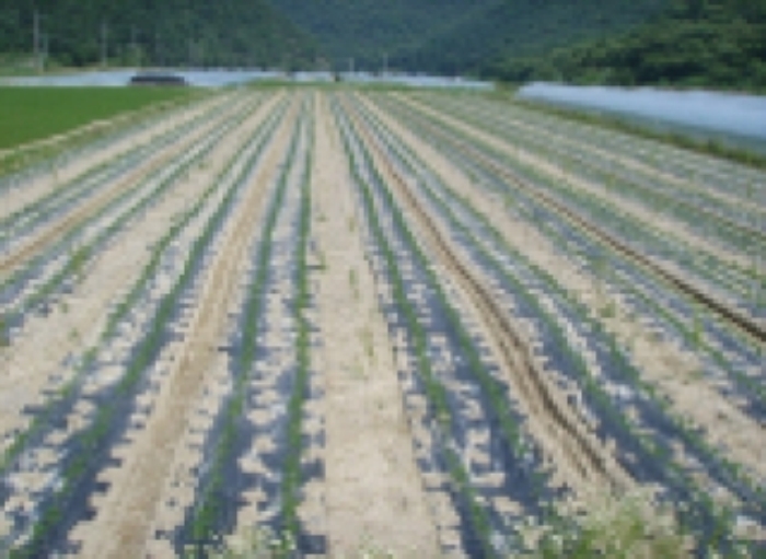 대구서부지원 2009타경9710-1 사진