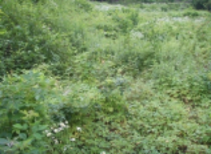 대구서부지원 2009타경10413-1 사진