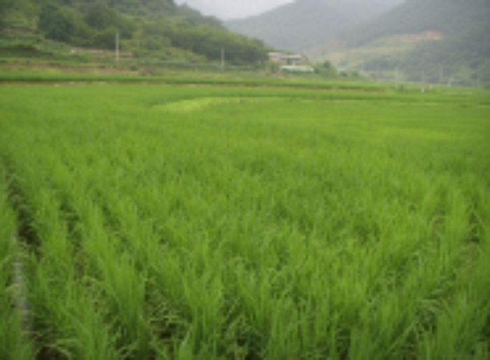 대구서부지원 2009타경11911-1 사진
