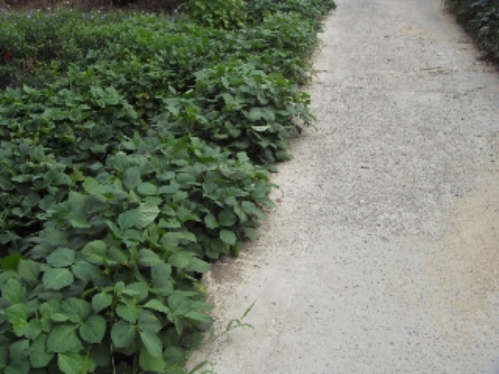 대구서부지원 2010타경10624-1 사진
