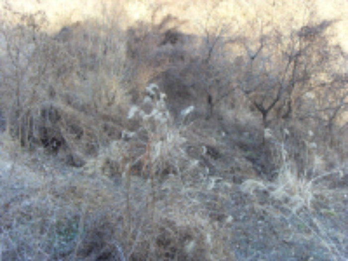 대구서부지원 2010타경16349-2 사진