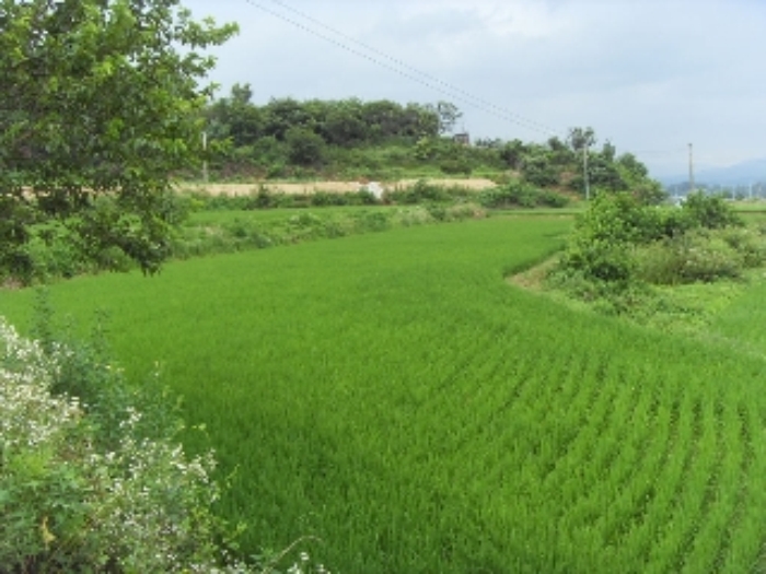 대구서부지원 2011타경8239-2 사진