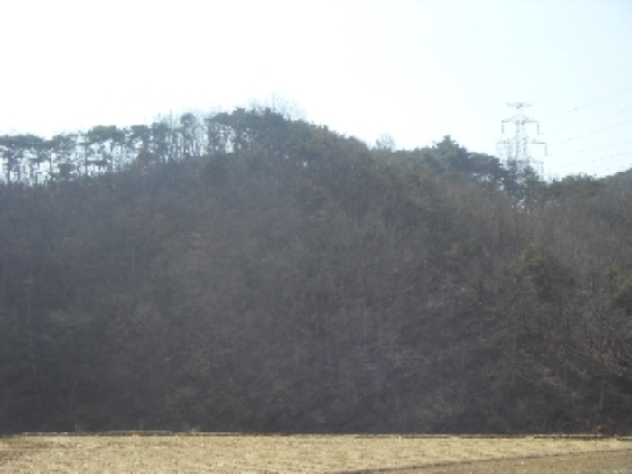 대구서부지원 2013타경2921-1 사진
