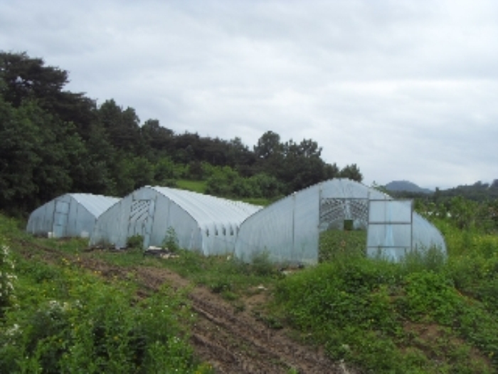 대구서부지원 2013타경6213-2 사진