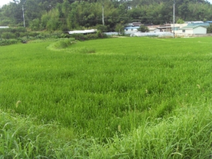 대구서부지원 2013타경7674-7 사진