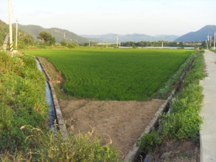 대구서부지원 2013타경8189-1 사진