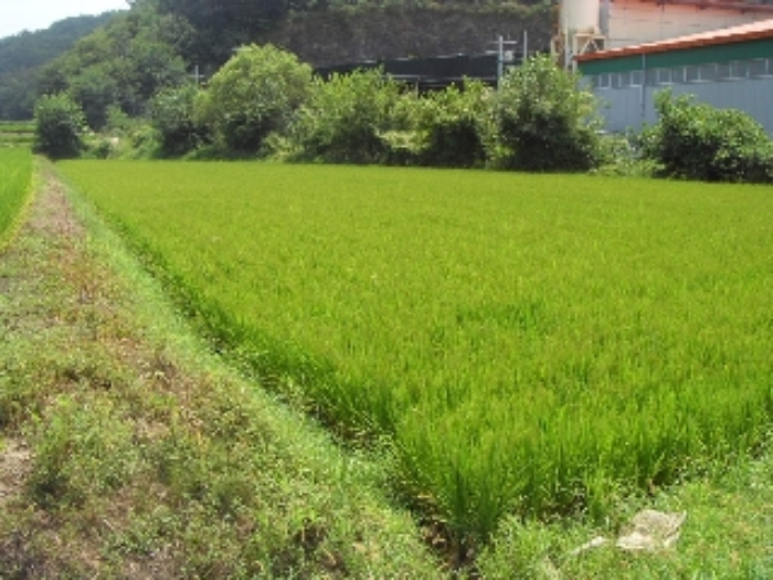 대구서부지원 2013타경9366-1 사진