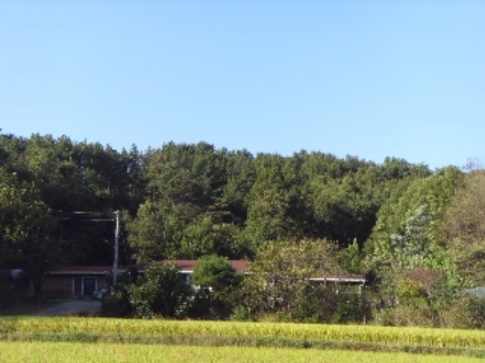 대구서부지원 2013타경10656-1 사진