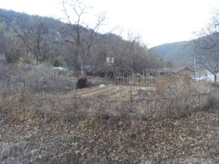 대구서부지원 2014타경21-1 사진