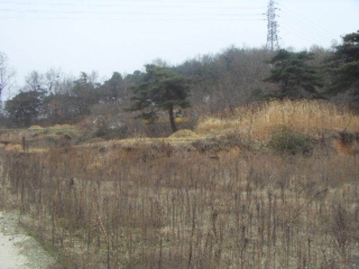 대구서부지원 2014타경2171-1 사진