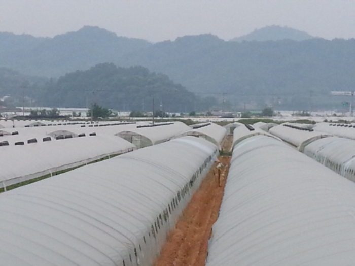 대구서부지원 2014타경4351-1 사진