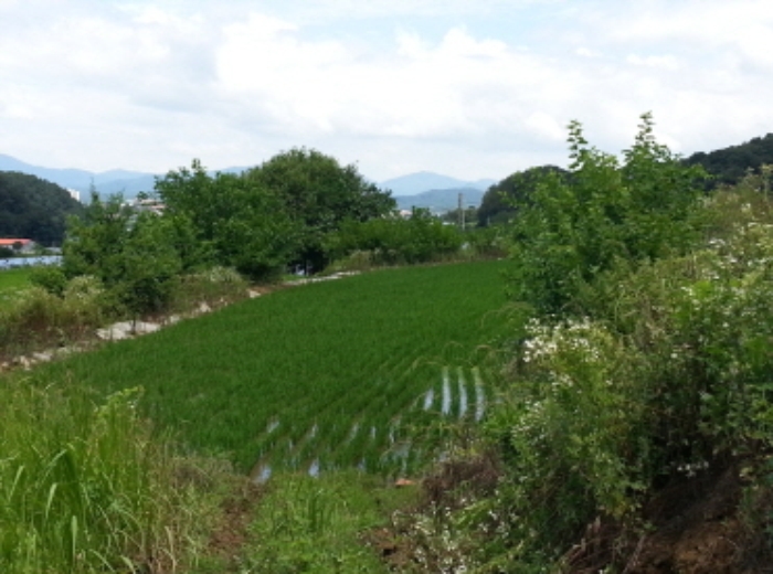 대구서부지원 2014타경5828-2 사진