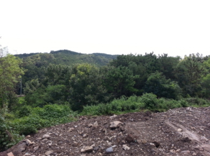 대구서부지원 2014타경6791-2 사진