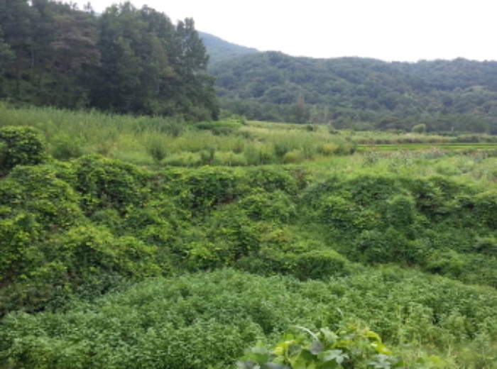 대구서부지원 2014타경7411-1 사진
