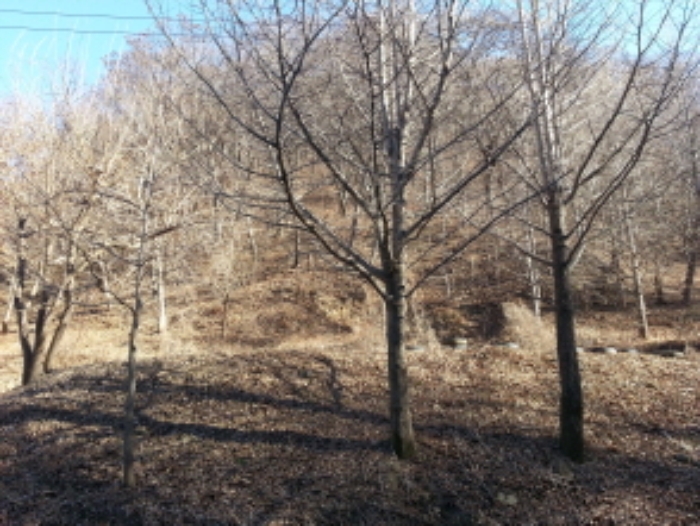 대구서부지원 2014타경10615-1 사진