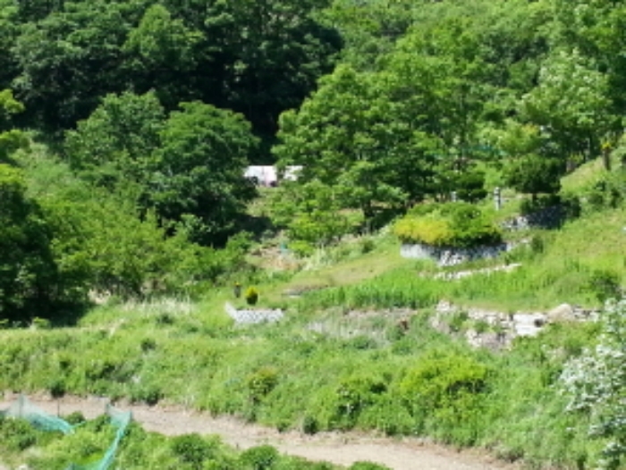 대구서부지원 2015타경3539-1 사진