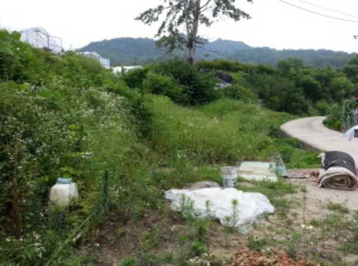 대구서부지원 2015타경3874-4 사진