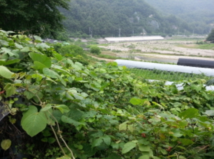 대구서부지원 2015타경4105-1 사진