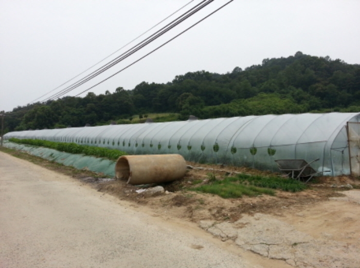 대구서부지원 2015타경4495-1 사진