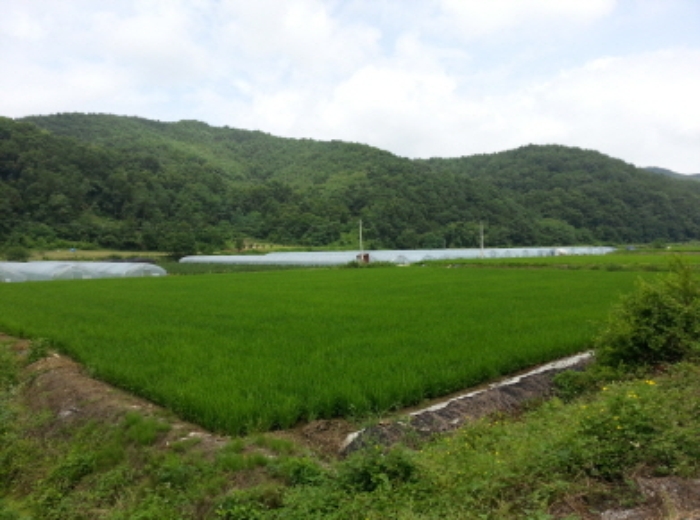 대구서부지원 2015타경4518-1 사진