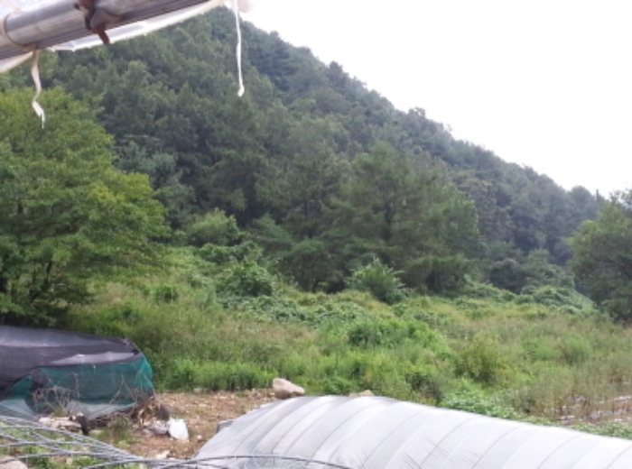 대구서부지원 2015타경5818-4 사진