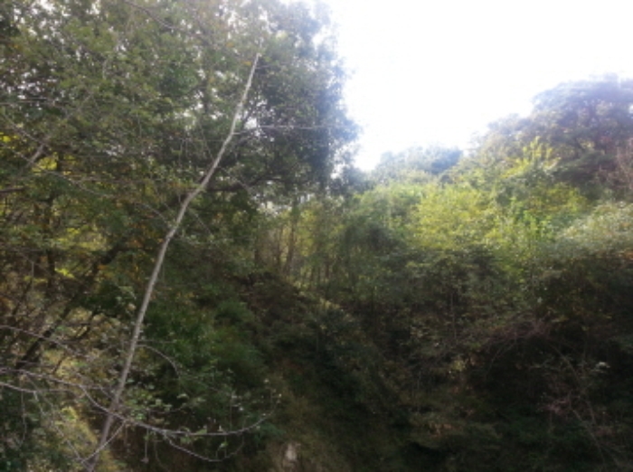 대구서부지원 2015타경6620-1 사진