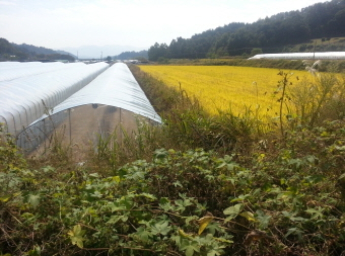 대구서부지원 2015타경6705-1 사진