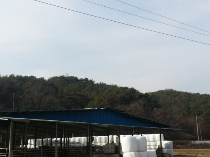대구서부지원 2015타경8251-1 사진