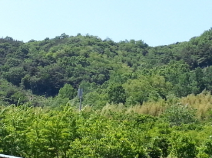 대구서부지원 2015타경30227-1 사진