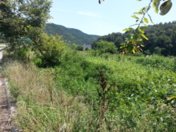 대구서부지원 2015타경30807-1 사진